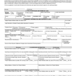 1003 Form Fill Online Printable Fillable Blank PdfFiller
