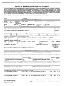 1003 Form Fill Online Printable Fillable Blank PdfFiller - Printable ...