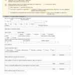2022 Personal Loan Application Form Fillable Printable PDF Forms