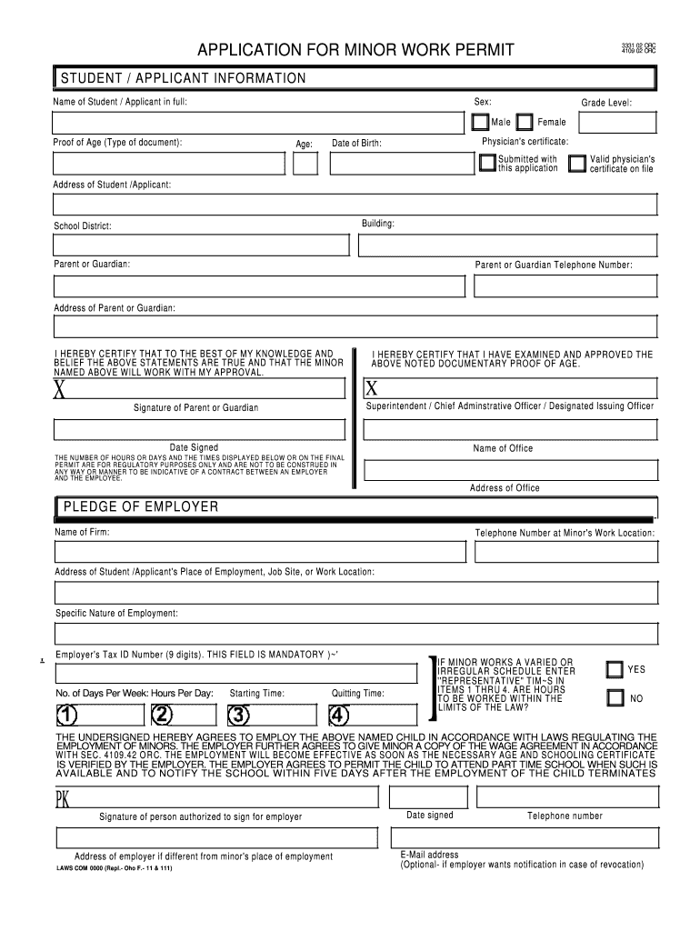 Application Work Permit Form The Form In Seconds Fill Out And Sign