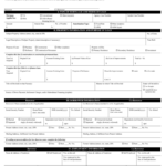 FannieMae Form 1003 2005 2022 Fill And Sign Printable Template Online