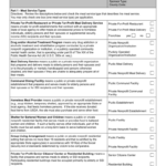 Fns 252 Fill And Sign Printable Template Online US Legal Forms