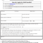 Form SNAPA 1 Download Fillable PDF Or Fill Online Snap Benefits