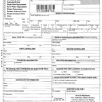 Form VSD190 24 Download Printable PDF Or Fill Online Application For