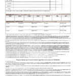Free Printable PacSun Job Application Form Page 2