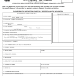 Indian Visa Application Form Fill Out And Sign Printable PDF Template