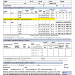 Njfamilycare Org New Jersey Printable And Fillable Form