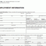 Old Navy Application PDF Print Out