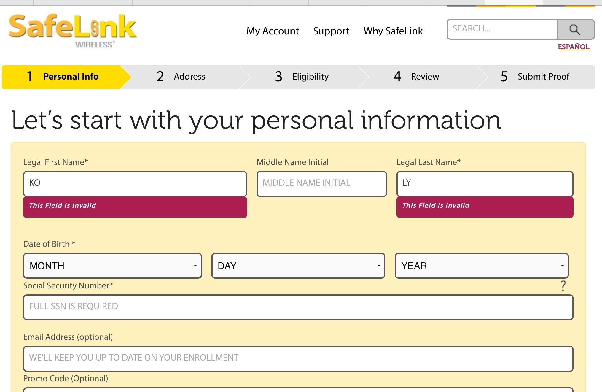 Safelink Application Form Printable Printable Form 2021