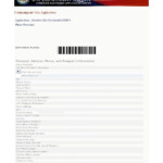 Sample Of DS 160 Form For American Visa