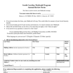 South Carolina Medicaid Application Form Fill Online Fill Out And