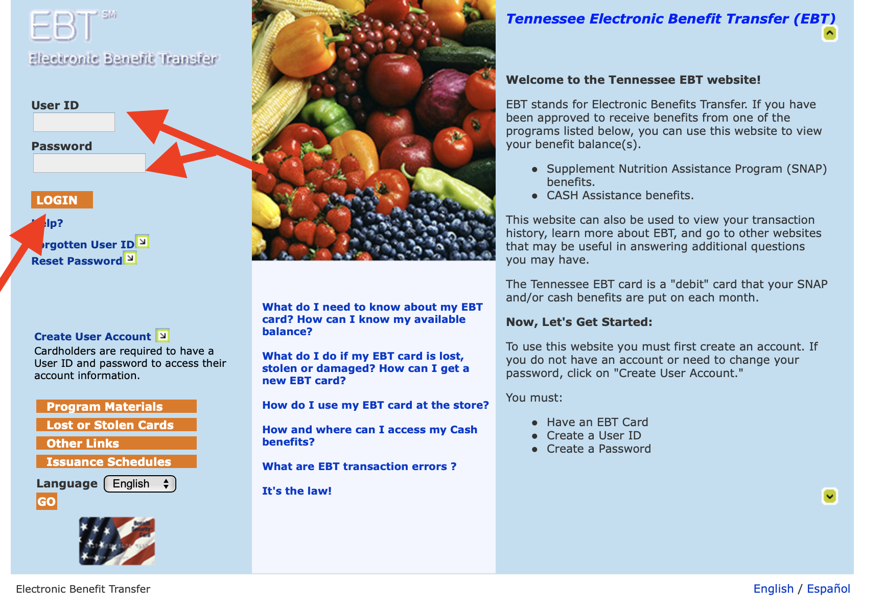 Tennessee Food Stamps Balance Tennessee Food Stamps