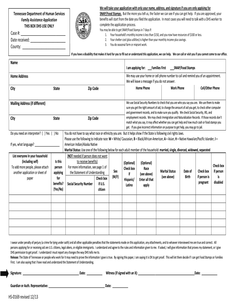 TN HS 0169 2013 Fill And Sign Printable Template Online US Legal Forms
